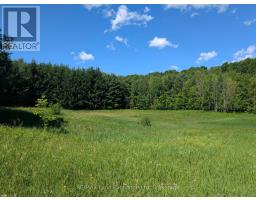 35 Sideroad 10a, South Bruce, ON N0G2S0 Photo 50