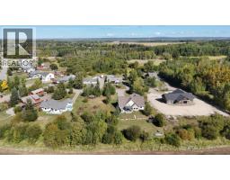 Laundry room - 608 Reid Drive, Vanderhoof, BC V0J3A2 Photo 8