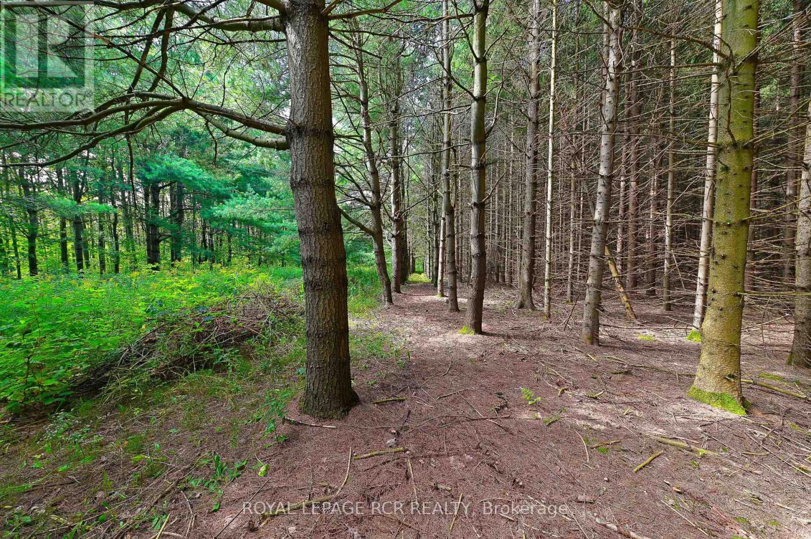 Lot 29 Prince of Wales Road, Mulmur, ON photo 20