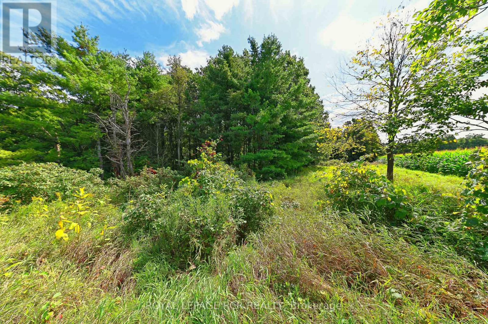 Lot 29 Prince of Wales Road, Mulmur, ON photo 21