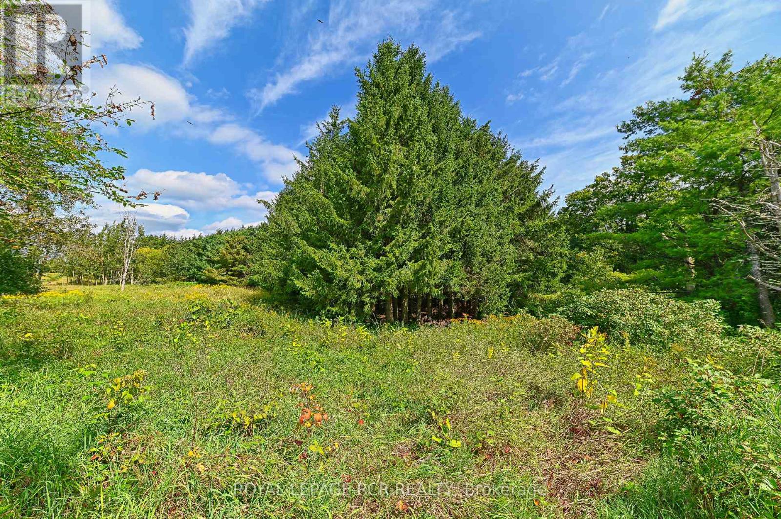 Lot 29 Prince of Wales Road, Mulmur, ON photo 22