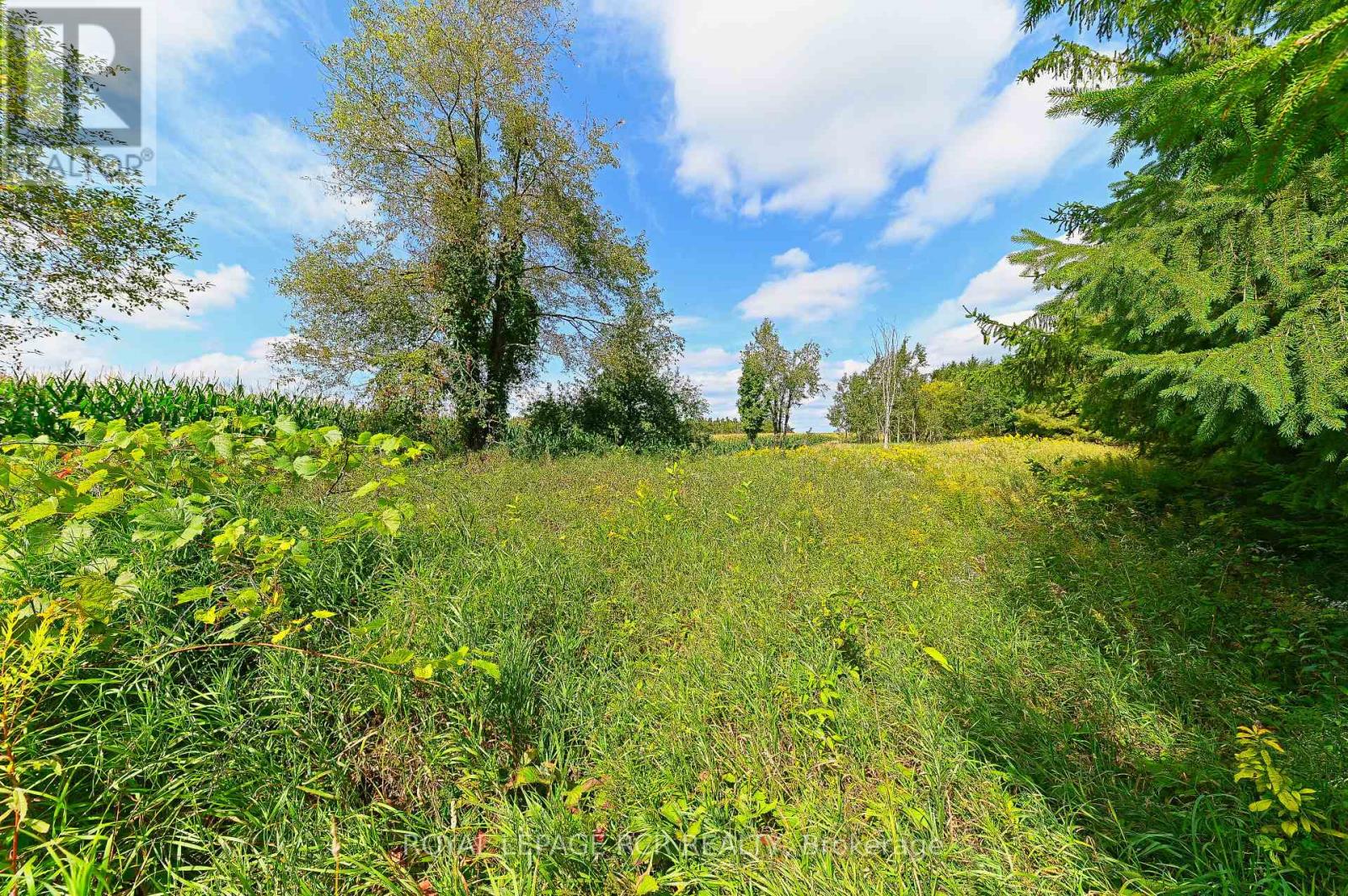 Lot 29 Prince of Wales Road, Mulmur, ON photo 23