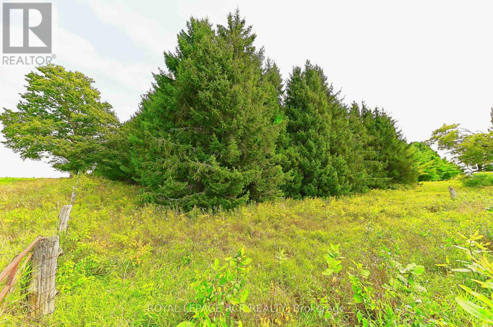 Lot 29 Prince of Wales Road, Mulmur, ON photo 24
