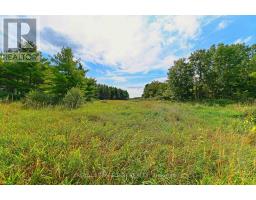 Lot 29 Prince Of Wales Road W, Mulmur, ON L9V0C6 Photo 11