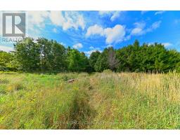 Lot 29 Prince Of Wales Road W, Mulmur, ON L9V0C6 Photo 12