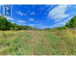 Lot 29 Prince Of Wales Road W, Mulmur, ON L9V0C6 Photo 13