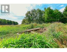 Lot 29 Prince Of Wales Road W, Mulmur, ON L9V0C6 Photo 14