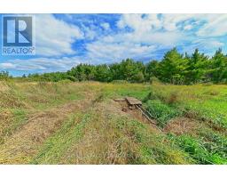 Lot 29 Prince Of Wales Road W, Mulmur, ON L9V0C6 Photo 15