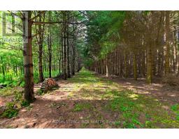 Lot 29 Prince Of Wales Road W, Mulmur, ON L9V0C6 Photo 16