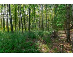 Lot 29 Prince Of Wales Road W, Mulmur, ON L9V0C6 Photo 17
