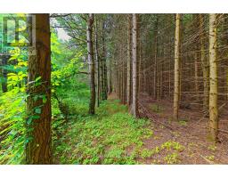 Lot 29 Prince Of Wales Road W, Mulmur, ON L9V0C6 Photo 18