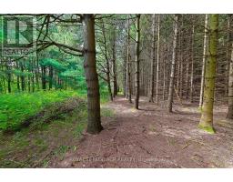 Lot 29 Prince Of Wales Road W, Mulmur, ON L9V0C6 Photo 20
