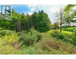 Lot 29 Prince Of Wales Road W, Mulmur, ON L9V0C6 Photo 21