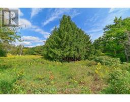 Lot 29 Prince Of Wales Road W, Mulmur, ON L9V0C6 Photo 22