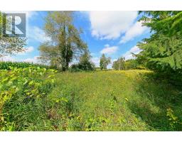 Lot 29 Prince Of Wales Road W, Mulmur, ON L9V0C6 Photo 23
