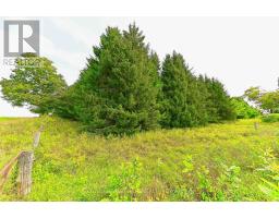 Lot 29 Prince Of Wales Road W, Mulmur, ON L9V0C6 Photo 24