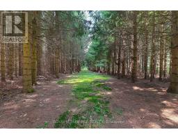 Lot 29 Prince Of Wales Road W, Mulmur, ON L9V0C6 Photo 6