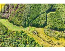 Lot 29 Prince Of Wales Road W, Mulmur, ON L9V0C6 Photo 7