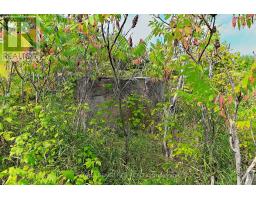 Lot 29 Prince Of Wales Road W, Mulmur, ON L9V0C6 Photo 8
