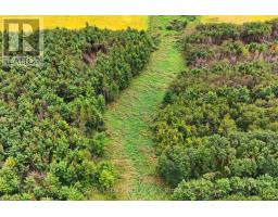 Lot 29 Prince Of Wales Road W, Mulmur, ON L9V0C6 Photo 9
