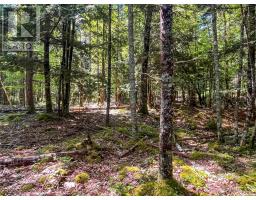 Lot 1000 Conquerall Road, Conquerall Bank, NS B0R1G0 Photo 7