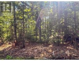 Lot 1000 Conquerall Road, Conquerall Bank, NS B0R1G0 Photo 6