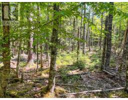 Lot 1000 Conquerall Road, Conquerall Bank, NS B0R1G0 Photo 8