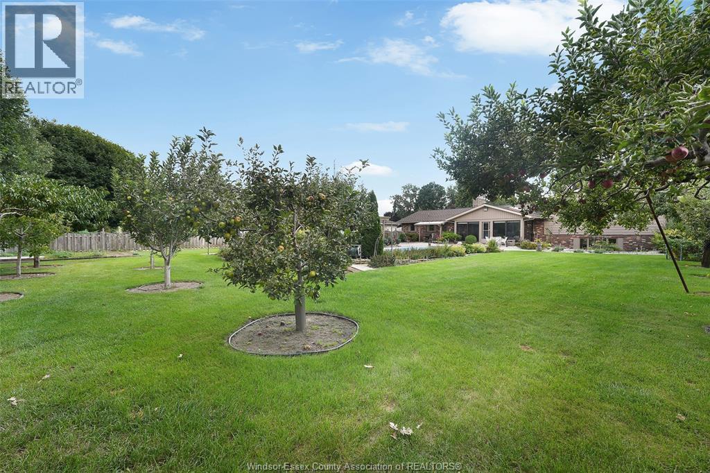 1528 RAVINE LINE ROAD - 36