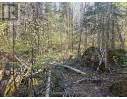 Pc13528 624 Highway, Kirkland Lake, ON P0K1L0 Photo 38