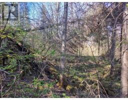Pc13528 624 Highway, Kirkland Lake, ON P0K1L0 Photo 39
