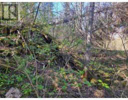 Pc13528 624 Highway, Kirkland Lake, ON P0K1L0 Photo 40