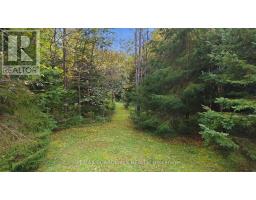 6043 511 Highway, Lanark Highlands, ON K0G1K0 Photo 27