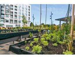 2404 - 2495 Eglinton Avenue W, Mississauga, ON L5M2T2 Photo 23