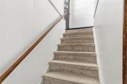 12 Richardson Avenue, Winnipeg, MB R2V2N2 Photo 17