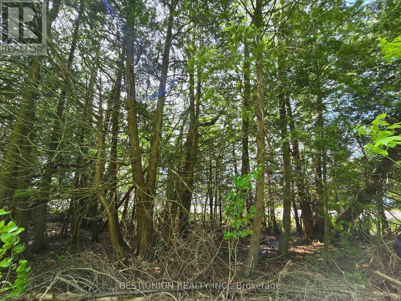 LOT1 RED BAY ROAD, South Bruce Peninsula — photo 10