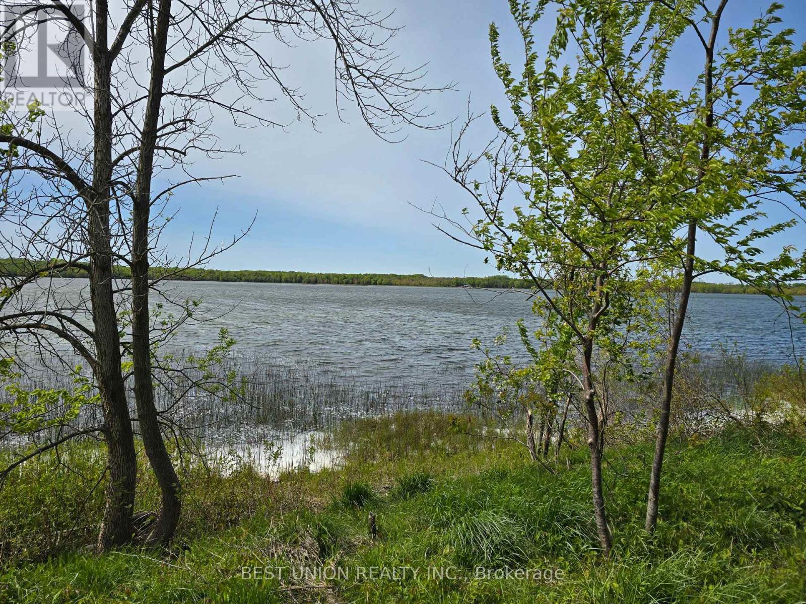 LOT1 RED BAY ROAD, South Bruce Peninsula — photo 11