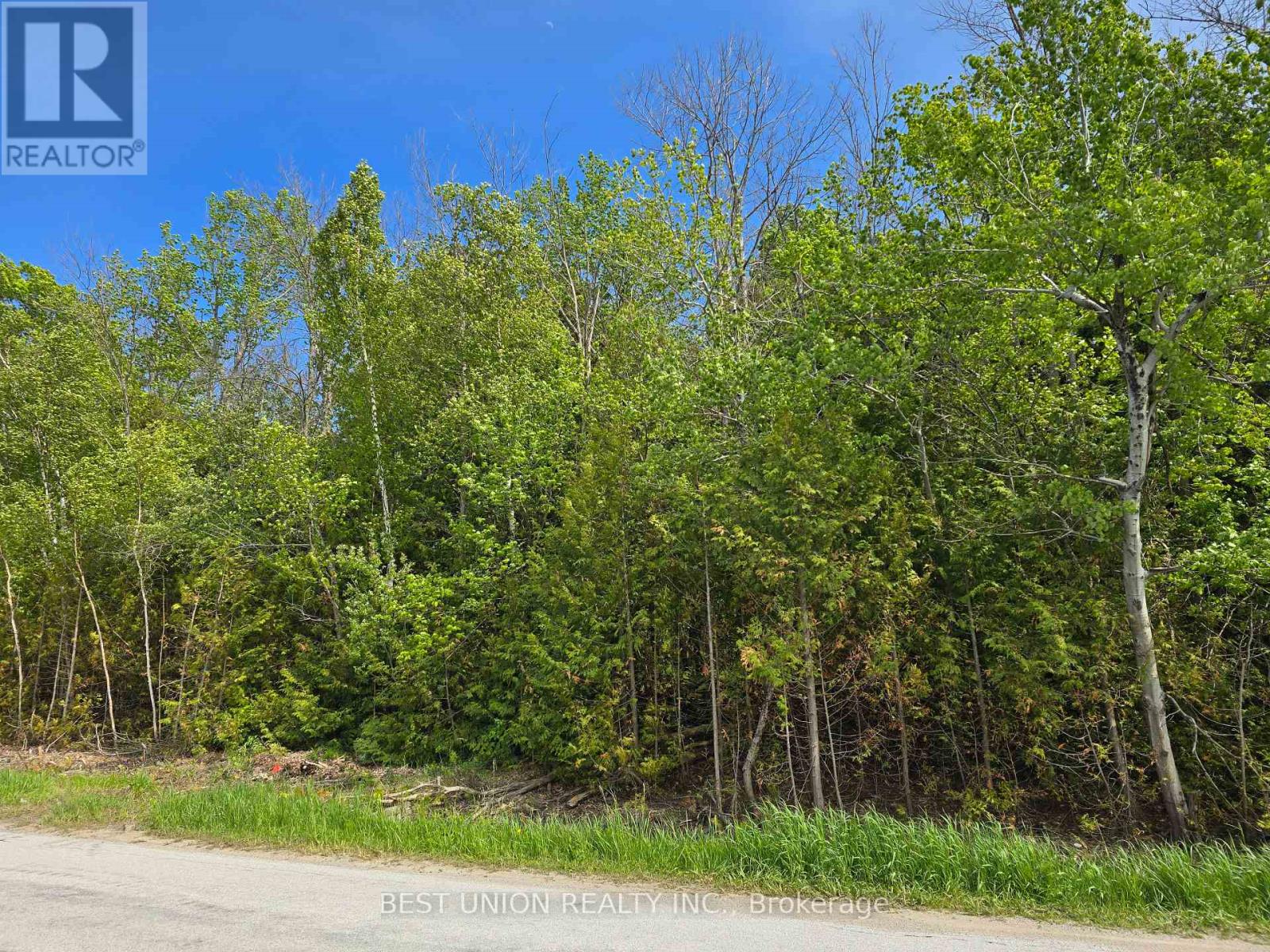 LOT1 RED BAY ROAD, South Bruce Peninsula — photo 12