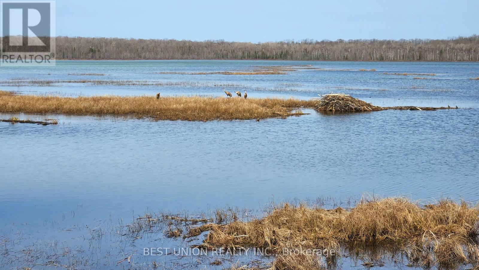 LOT1 RED BAY ROAD, South Bruce Peninsula — photo 3