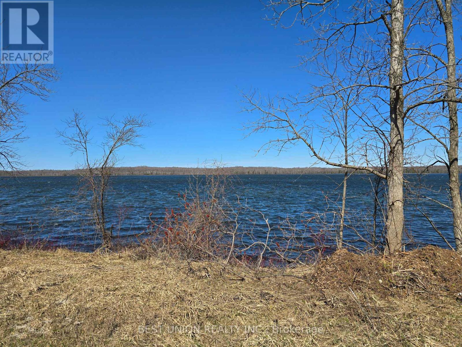 LOT1 RED BAY ROAD, South Bruce Peninsula — photo 4