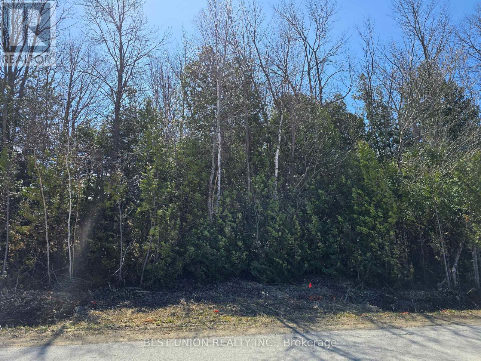 LOT1 RED BAY ROAD, South Bruce Peninsula — photo 6