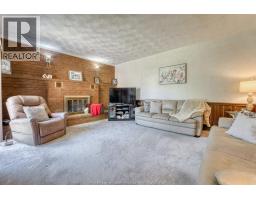 Family room/Fireplace - 452 Green Valley Drive, Tecumseh, ON N8N3L7 Photo 11