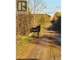 51 Fosters Lane, Peltoma Settlement, NB E5L0B3 Photo 44