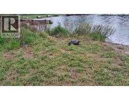 51 Fosters Lane, Peltoma Settlement, NB E5L0B3 Photo 45