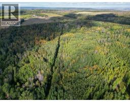 14034 211 Road, Dawson Creek, BC V1G4G7 Photo 33