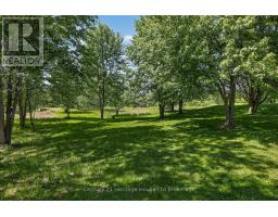 257 Bateman Line, Brant, ON N0E1K0 Photo 45