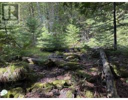 Pt Lt35 Con 3 Wbr Pt 77 Concession, Northern Bruce Peninsula, ON N0H1W0 Photo 10