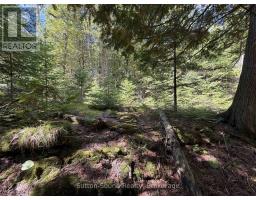 Pt Lt35 Con 3 Wbr Pt 77 Concession, Northern Bruce Peninsula, ON N0H1W0 Photo 11