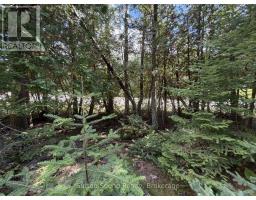 Pt Lt35 Con 3 Wbr Pt 77 Concession, Northern Bruce Peninsula, ON N0H1W0 Photo 14