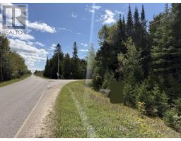 Pt Lt35 Con 3 Wbr Pt 77 Concession, Northern Bruce Peninsula, ON N0H1W0 Photo 16
