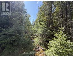 Pt Lt35 Con 3 Wbr Pt 77 Concession, Northern Bruce Peninsula, ON N0H1W0 Photo 13